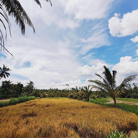 Bunga Maliq Bungalow Lombok Tetebatu Extérieur photo