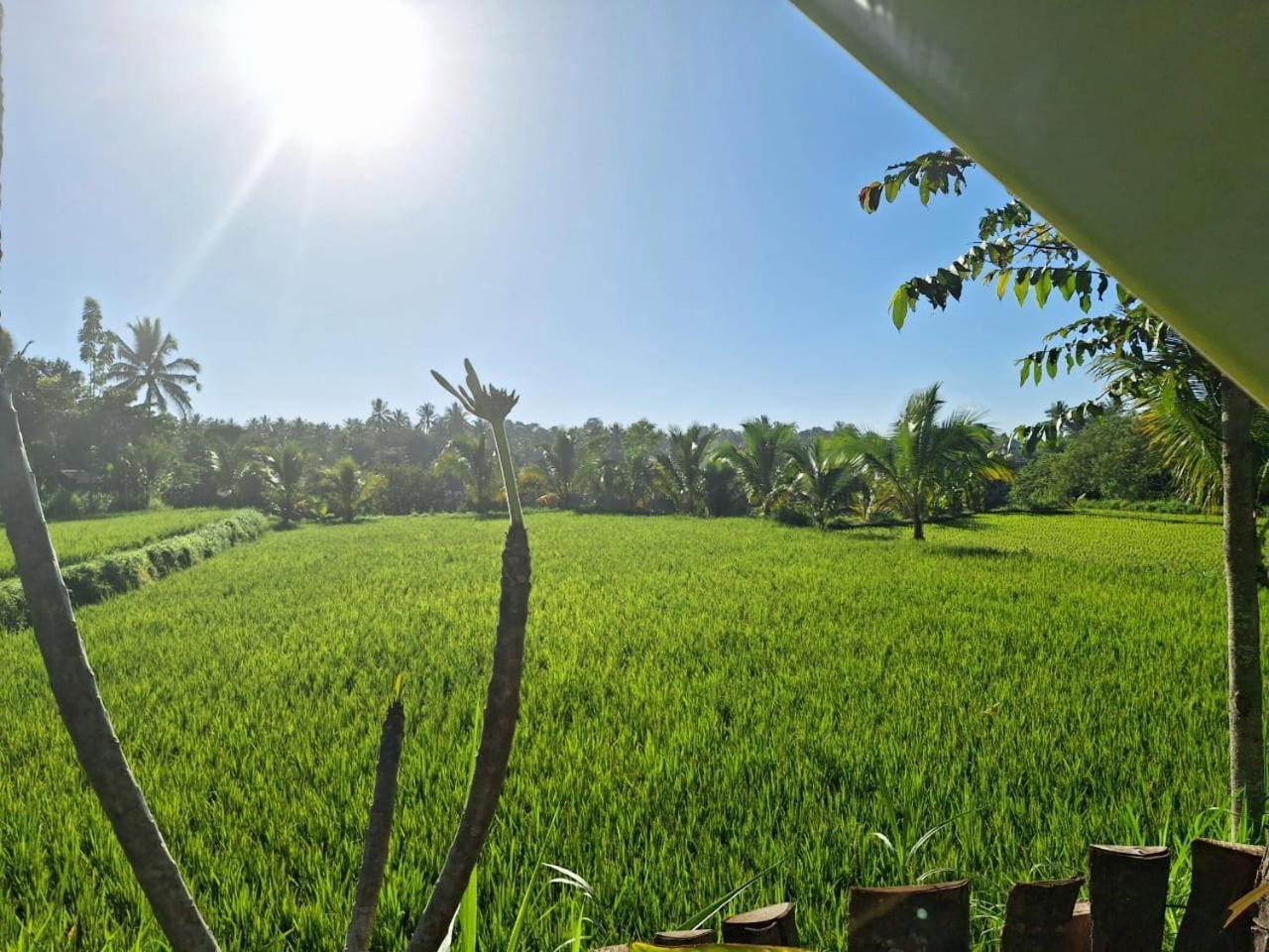 Bunga Maliq Bungalow Lombok Tetebatu Chambre photo