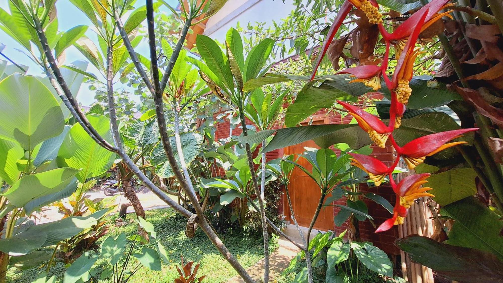 Bunga Maliq Bungalow Lombok Tetebatu Chambre photo