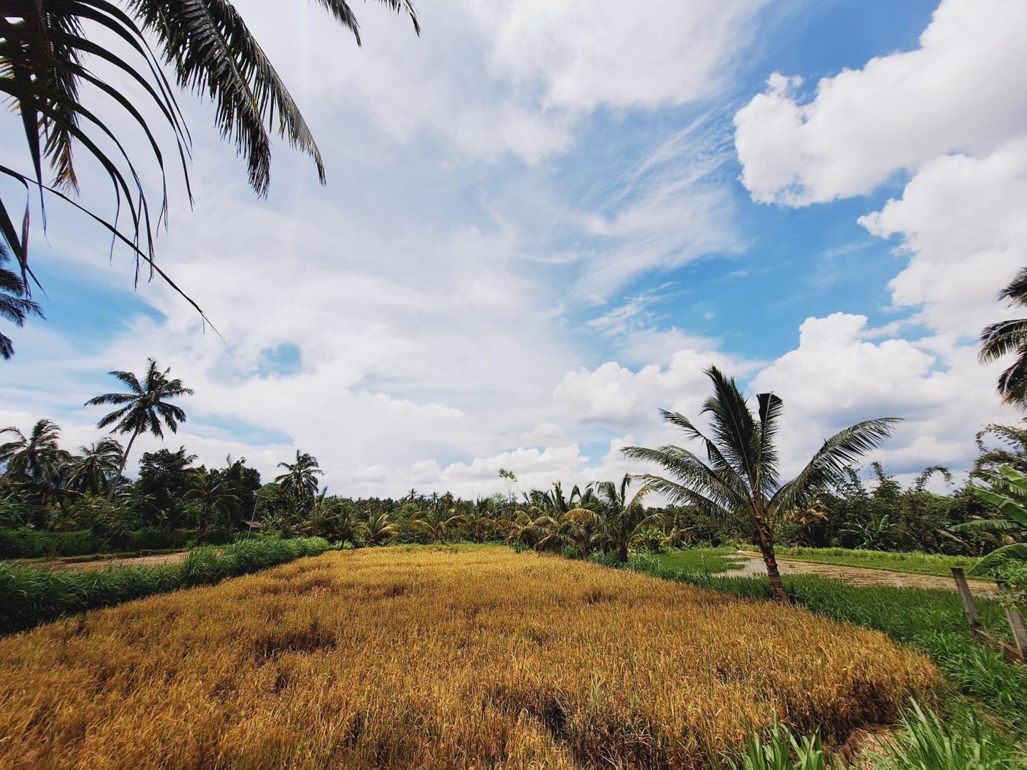 Bunga Maliq Bungalow Lombok Tetebatu Extérieur photo